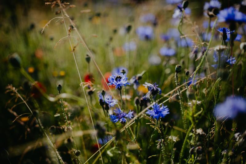 Fotoshooting Zahn Zauberei 210618 420